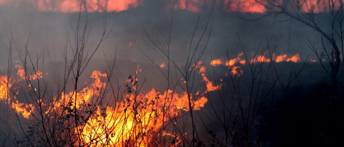 Incendie